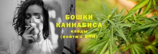 ECSTASY Дмитриев