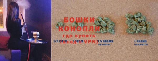 гашик Дмитровск