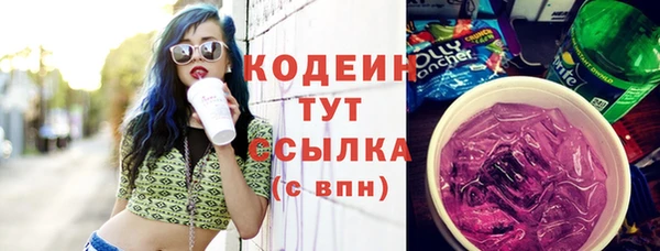 гашик Дмитровск