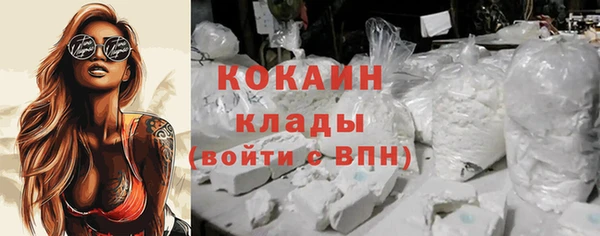 гашик Дмитровск