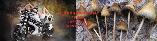 ECSTASY Дмитриев