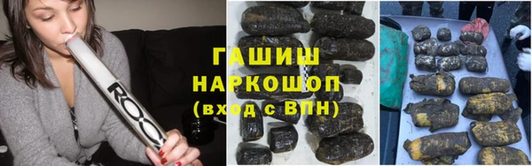 гашик Дмитровск