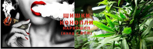 тгк Гусь-Хрустальный