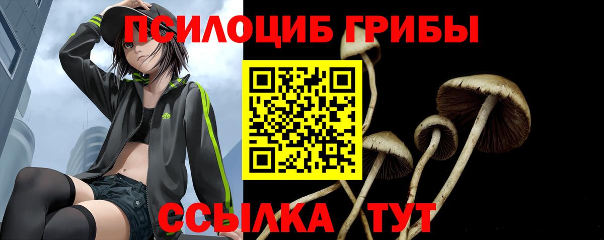 Галлюциногенные грибы Magic Shrooms Отрадный
